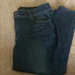 Lane Bryant Tighter Tummy Tech Skinnies Petite 22